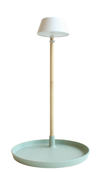 plant light care 11cm gris glacier